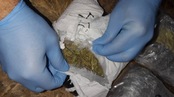 Zaplenjena marihuana Zaplenjena marihuana