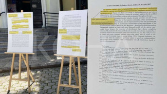 profesori plagirali naučni rad