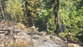 Požar u planini Rugova