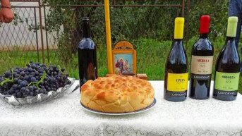 Vinarija Lakićević.jpg