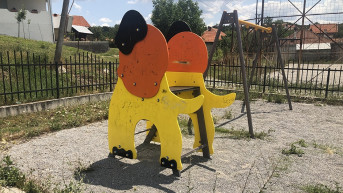 Sušica Sušica
