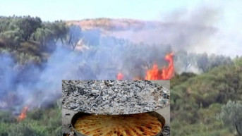 Požar-Vučitrn