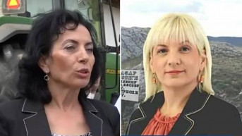 Šubarić i Ristić-Ilić.jpg