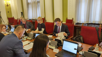 Nikola Selaković na sednici Odbora za dijasporu .jpg