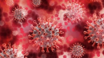 Virus kovida