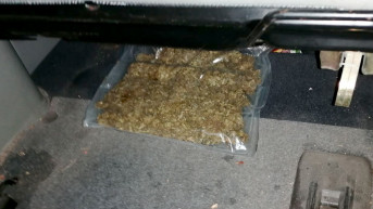 Marihuana Marihuana