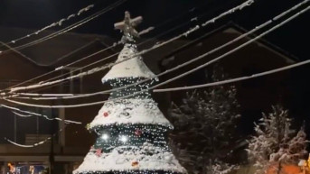 Novogodišnja jelka u Štrpcu