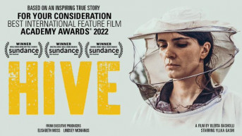 Hive