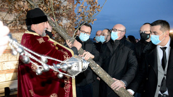 Petar Petković