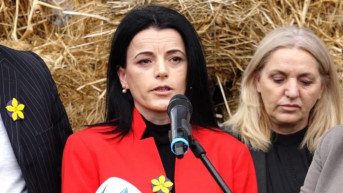 Vasfije Krasnići