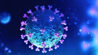 koronavirus