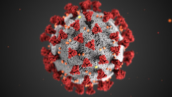 koronavirus koronavirus