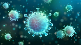 koronavirus koronavirus