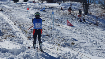 Trofej Nebeskih stolica