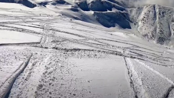 Brezovica