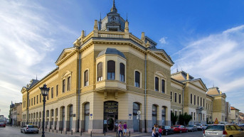 Matica srpska u Novom Sadu Matica srpska u Novom Sadu