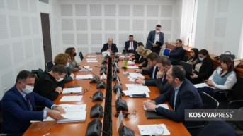 Sednica Komisije za privredu sa ministarkom Rozetom Hajdari Sednica Komisije za privredu sa ministarkom Rozetom Hajdari