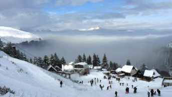 brezovica
