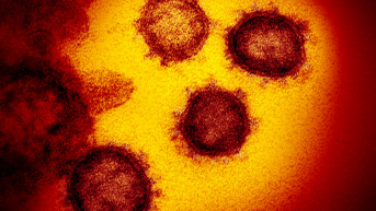 koronavirus