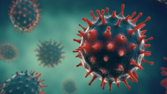 Korona virus. Korona virus.