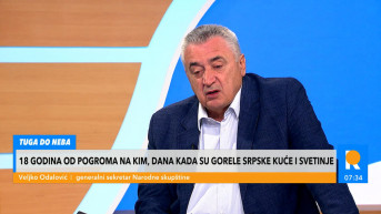 Veljko Odalović.jpg