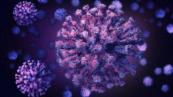 koronavirus