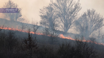 Požar kod Novog Brda