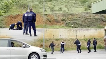 Vrbnica, napad na carinika.