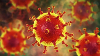 koronavirus koronavirus