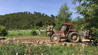 Ilegalna seča drva u Nacionalnom parku Šari