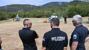 Vulin u Sloveniji.jpg