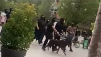 Maskirani sa psima prošetali trgom u Prištini Maskirani sa psima prošetali trgom u Prištini