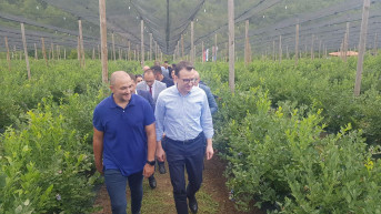 Petković u poseti imanju porodice Jevremović.jpg Petković u poseti imanju porodice Jevremović.jpg