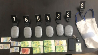 Zaplenjena droga
