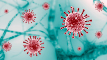 koronavirus