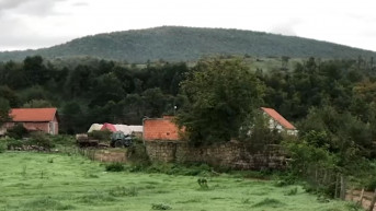 Miroč
