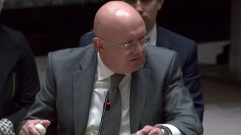 Ambasador Nebenzja