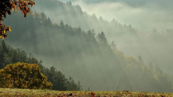 Jutro na Zlatiboru, pobednička fotografija