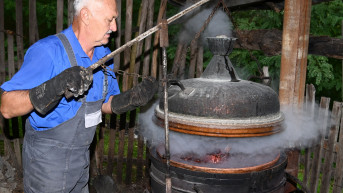 Šljivovica Šljivovica