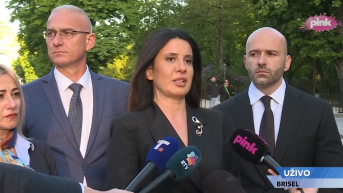 Danijela Vujičić Brisel screenshot