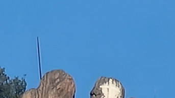 Grabovac albanska zastava uklonjena
