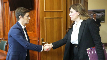 Brnabić i Zijade