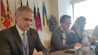 Borko Stefanović
