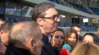 Vučić Loznica