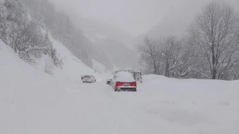 Brezovica