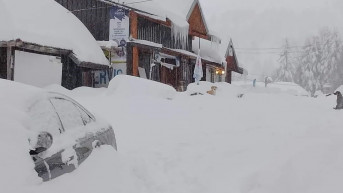 Sneg na Brezovici