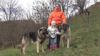 štrpce uzgojšarplaninaca
