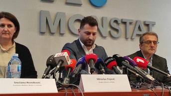 Popis stanovništa Crna Gora