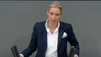 Alis Vajdel