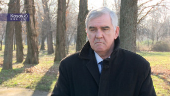 Demo Beriša
